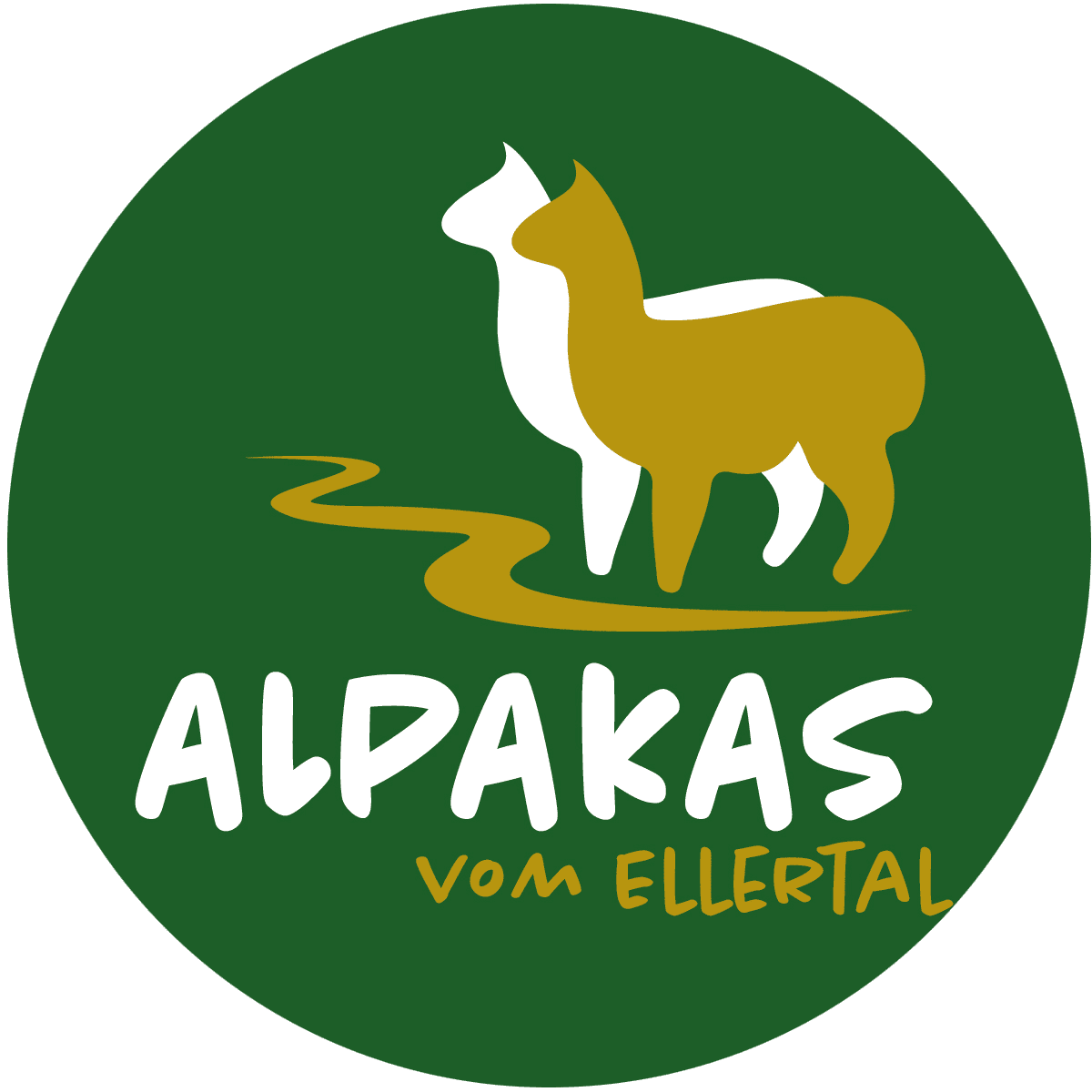 Alpakas vom Ellertal